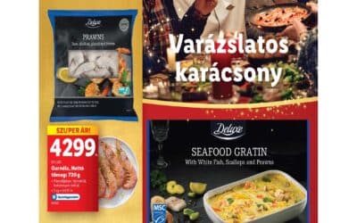 lidl regionális deluxe katalógus 2024 47. hét