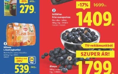 lidl akciós újság 2025 31 hét
