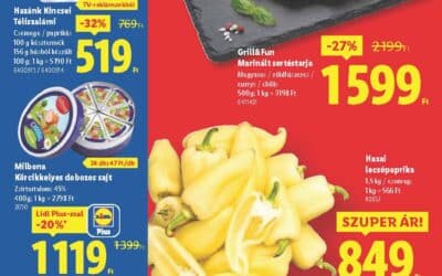 lidl akciós újság 2025 34 hét