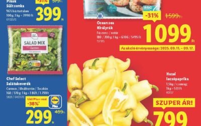 lidl akciós újság 2025 37 hét