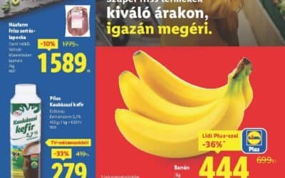 lidl akciós újság 2025 41 hét