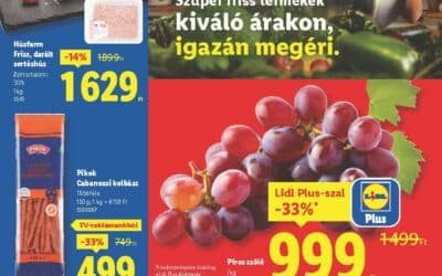 lidl akciós újság 2025 42 hét