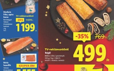 lidl akciós újság 2025 51 hét
