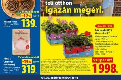 lidl akciós újság 2026 15 hét